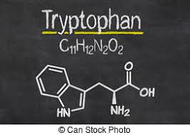 tryptophan2