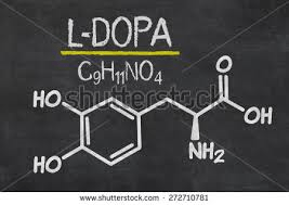 LDOPA